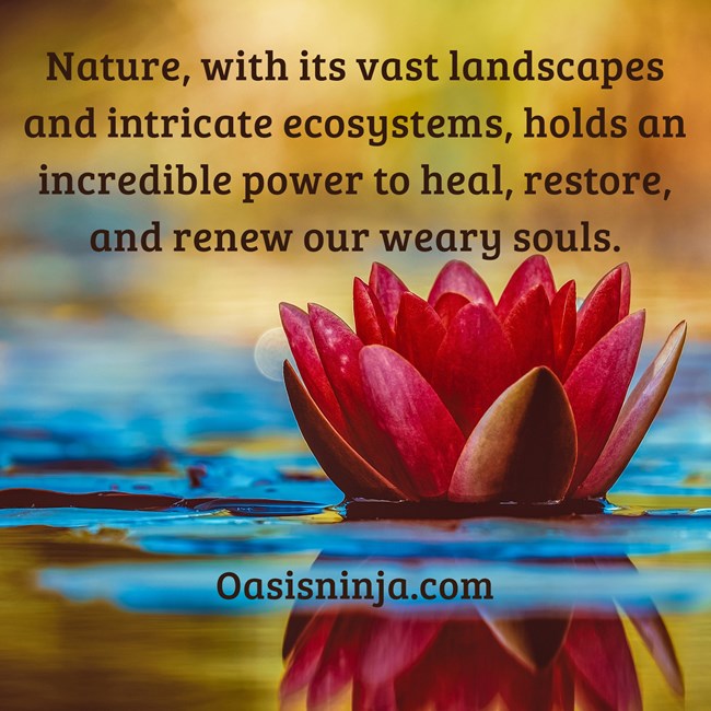 Chapter 7: Connecting with Nature – Rediscovering the Healing Embrace of the Outdoors